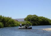 Bariloche Anglers